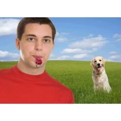 Clicker 2 In 1 E Fischietto Per Cani -Cibi per cani in Italia 75983384 5