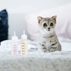 6 Pz 50 ML Biberon Per Animali Domestici - Capezzolo A Punta Sicuro Bottiglia Di Latte Per Cani E Gatti Per Piccoli Animali/Gatti/Cani/Cucciolo/Gattino -Cibi per cani in Italia 75983680 2