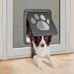 Porta Per Gatti E Cani, Gattaiola Porta Basculante Per Gatti E Cani, Porta Schermo Per Animali Domestici, Entrata E Uscita Controllabile 37x42cm