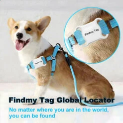 Mini Dispositivo Di Localizzazione Bluetooth GPS Tracker Smart Tag Impermeabile Dog Pet Finder Localizzatore Localizzatore Chiave Di Allarme Tag Di Allarme Anti-perso (bianco, Per Android) -Cibi per cani in Italia 77488291 3