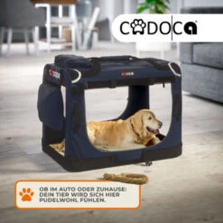 CADOCA Box Per Il Trasporto Di Cani Gatti Trasportino Per Animali Per Auto Grigio Diverse Grandezze M - Navy Blau (de) -Cibi per cani in Italia 77563271 3