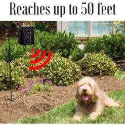 Controllo Dell'abbaio Del Cane, 4 Deterrenti Per L'abbaio Del Cane A Ultrasuoni A Frequenza Regolabile, Dispositivi Anti-abbaio Impermeabili Da 55 Piedi Per Cani Piccoli E Grandi, Collare Anti-abbaio -Cibi per cani in Italia 78971388 3