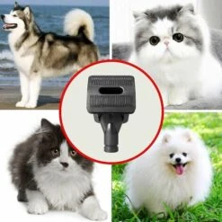 Per Dyson V15 Pet Hair Brush Grooming Tool Tubo Di Prolunga Flessibile 11 Per Dyson V15 Pet Hair Brush Grooming Tool Tubo Di Prolunga Flessibile -Cibi per cani in Italia 79171438 5