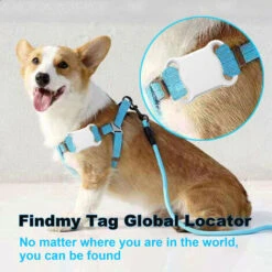 Localizzatore GPS Intelligente Impermeabile Per Animali Domestici Mini Localizzatore GPS Localizzatore BT Anti-smarrimento Collare Di Localizzazione Per Cani Gatto Posizionamento Localizzazione (bianc -Cibi per cani in Italia 79171535 3