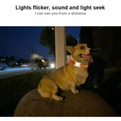 Localizzatore GPS Intelligente Impermeabile Per Animali Domestici Mini Localizzatore GPS Localizzatore BT Anti-smarrimento Collare Di Localizzazione Per Cani Gatto Posizionamento Localizzazione (bianc -Cibi per cani in Italia 79171535 5