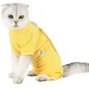 Cat Recovery Suit Per Ferite Addominali Malattie Della Pelle Dopo L'intervento Chirurgico Gilet Per Animali Domestici (giallo, Medio) -Cibi per cani in Italia 79171718 1
