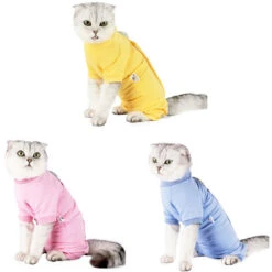 Cat Recovery Suit Per Ferite Addominali Malattie Della Pelle Dopo L'intervento Chirurgico Gilet Per Animali Domestici (giallo, Medio) -Cibi per cani in Italia 79171718 2