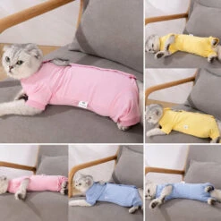 Cat Recovery Suit Per Ferite Addominali Malattie Della Pelle Dopo L'intervento Chirurgico Gilet Per Animali Domestici (giallo, Medio) -Cibi per cani in Italia 79171718 3