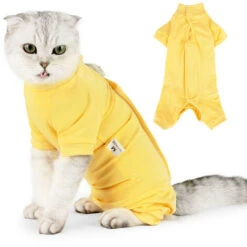 Cat Recovery Suit Per Ferite Addominali Malattie Della Pelle Dopo L'intervento Chirurgico Gilet Per Animali Domestici (giallo, Medio) -Cibi per cani in Italia 79171718 5