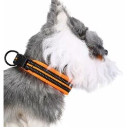 Collare Per Cani RHAFAYRE, Collare Per Cani Grande/medio/piccolo Imbottito Regolabile Con Striscia Riflettente (arancione) -Cibi per cani in Italia 80396812 5