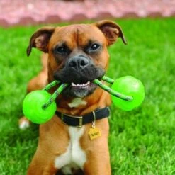 KONG Squeezz Palla Con Maniglia - Gioco Per Cani -Cibi per cani in Italia 80939903 4