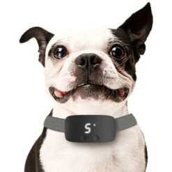 Collare Antiabbaio Per Cani Collare Da Addestramento Antiabbaio Ricaricabile Con Tre Modalità Efficienti E Sicure Per Tutte Le Razze Di Cani (nero) -Cibi per cani in Italia 81310670 3