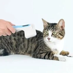 None Spazzola Per Cani E Gatti A Pelo Lungo, Spazzola Per Cani E Gatti Autopulente, Rimozione Efficace Di Peli Morti/peli Tomentosi -Cibi per cani in Italia 81351717 3