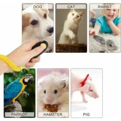 Clicker Per Cani, Clicker Per Dita Da Addestramento Per Cani, Clicker Per Addestramento Con Fascia Elastica E Pulsante Grande, Clicker Per Cani Da Addestramento Professionale Per Cane Gatto Cavallo 11 Clicker Per Cani, Clicker Per Dita Da Addestramento Per Cani, Clicker Per Addestramento Con Fascia Elastica E Pulsante Grande, Clicker Per Cani Da Addestramento Professionale Per Cane Gatto Cavallo -Cibi per cani in Italia 85319010 5