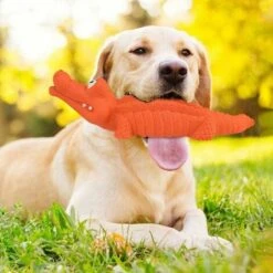 Giocattoli Interattivi Con Coccodrillo Da Masticare Per Cani Giocattolo Da Addestramento In Gomma Durevole E Praticamente Indistruttibile -Cibi per cani in Italia 85896086 4