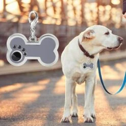 Targhetta Identificativa Per Animali Domestici In Lega Ciondolo Con Nome Identificativo Per Animali Collana Con Nome Per Targhetta Identificativa (grigio) -Cibi per cani in Italia 85898252 5