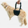 Imbracatura Di Sollevamento Per Cani Supporto Per Cani Sling Aid Mobilità Con Maniglia Per Sollevare Animali Domestici Zampe Anteriori Posteriori Per Cani Anziani Gambe Deboli Chirurgia Riabilitazione -Cibi per cani in Italia 85900794 1