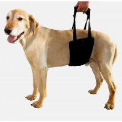 Imbracatura Di Sollevamento Per Cani Supporto Per Cani Sling Aid Mobilità Con Maniglia Per Sollevare Animali Domestici Zampe Anteriori Posteriori Per Cani Anziani Gambe Deboli Chirurgia Riabilitazione -Cibi per cani in Italia 85900794 4