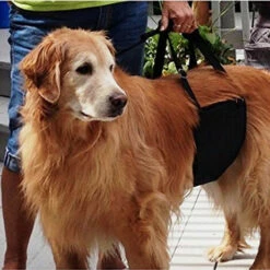 Imbracatura Di Sollevamento Per Cani Supporto Per Cani Sling Aid Mobilità Con Maniglia Per Sollevare Animali Domestici Zampe Anteriori Posteriori Per Cani Anziani Gambe Deboli Chirurgia Riabilitazione -Cibi per cani in Italia 85900794 5