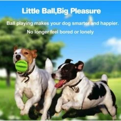 Palla Giocattolo Per Cani, Resistente Ai Morsi, Atossica Per Cani - Verde -Cibi per cani in Italia 85905646 2