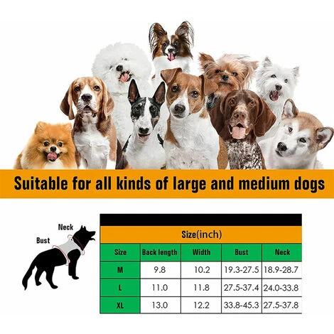 Pettorina Militare Per Cani Con Tasca E Toppa, Gilet Tattico Senza Trazione Per Cani Di Grossa Taglia, Pettorina Per Cani Di Servizio Per Addestramento, Escursionismo - Cachi, L 5 Pettorina Militare Per Cani Con Tasca E Toppa, Gilet Tattico Senza Trazione Per Cani Di Grossa Taglia, Pettorina Per Cani Di Servizio Per Addestramento, Escursionismo - Cachi, L - immagine 3