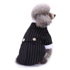 Vestiti Per Cani Costumi Per Cani, Vestiti Per Animali Domestici, Smoking A Righe, Taglia L -Cibi per cani in Italia 87409673 3