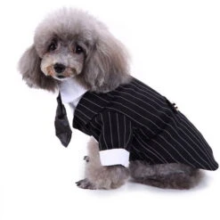 Vestiti Per Animali Domestici Costumi Per Cani, Abiti Per Animali Domestici, Smoking A Righe, Taglia S 8 Vestiti Per Animali Domestici Costumi Per Cani, Abiti Per Animali Domestici, Smoking A Righe, Taglia S -Cibi per cani in Italia 87411176 2