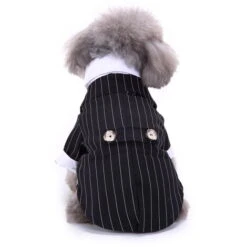 Vestiti Per Cani Costumi Per Cani, Abiti Per Animali Domestici, Smoking A Righe, Taglia M 11 Vestiti Per Cani Costumi Per Cani, Abiti Per Animali Domestici, Smoking A Righe, Taglia M -Cibi per cani in Italia 87411718 5