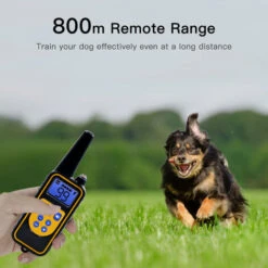 Collare Di Addestramento Per Cani Collare Antiabbaio Con Collare Antiurto Per Cani Ricaricabile A Distanza Collare Antiabbaio Impermeabile Con 4 Modalità Di Addestramento Suono Vibrazione Shock Flash -Cibi per cani in Italia 88044000 5