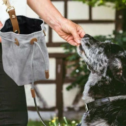HIASDFLS Borsa Per Dolcetti Per Cani, Borsa Da Addestramento Per Cani, Sacchetti Per Dolcetti Per Cani Con Coulisse E Passante Per Gancio, Borsa Impermeabile Per Cibo Per Cani, Grigio -Cibi per cani in Italia 88132485 2