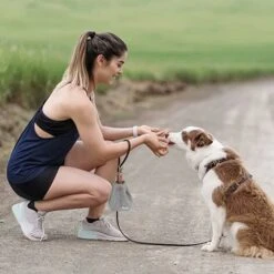 HIASDFLS Borsa Per Dolcetti Per Cani, Borsa Da Addestramento Per Cani, Sacchetti Per Dolcetti Per Cani Con Coulisse E Passante Per Gancio, Borsa Impermeabile Per Cibo Per Cani, Grigio -Cibi per cani in Italia 88132485 4