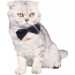 HIASDFLS Papillon Per Animali Domestici Regolabile Pet Dog Cat Cravatta Costume Formale Cravatta Per Cani Di Piccola Taglia Accessori Per La Toelettatura Dei Cuccioli - S -Cibi per cani in Italia 88134967 3