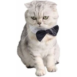 HIASDFLS Papillon Per Animali Domestici Regolabile Pet Dog Cat Cravatta Costume Formale Cravatta Per Cani Di Piccola Taglia Accessori Per La Toelettatura Dei Cuccioli - S -Cibi per cani in Italia 88134967 4
