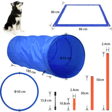 Set Agility Cani Grande Set Di Addestramento Per Animali Domestici Con Tunnel Per Cani Ostacoli Regolabili Anello Di Salto HENGMEI 3 Set Agility Cani Grande Set Di Addestramento Per Animali Domestici Con Tunnel Per Cani Ostacoli Regolabili Anello Di Salto HENGMEI