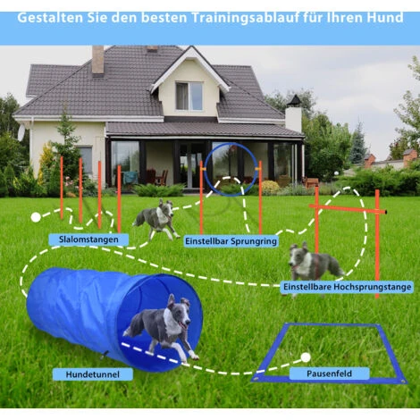 Set Agility Cani Grande Set Di Addestramento Per Animali Domestici Con Tunnel Per Cani Ostacoli Regolabili Anello Di Salto HENGMEI 7 Set Agility Cani Grande Set Di Addestramento Per Animali Domestici Con Tunnel Per Cani Ostacoli Regolabili Anello Di Salto HENGMEI - immagine 5