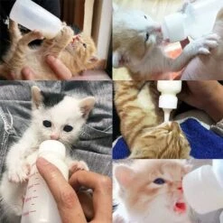 6 Pezzi Biberon Per Latte Per Cuccioli, Kit Biberon Per Biberon Per Cuccioli, Biberon Per Allattamento Per Gattini, Per Piccoli Mammiferi, Gattini Appena Nati, Cuccioli E Conigli (50ML) -Cibi per cani in Italia 88577840 5