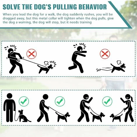 Collare Per Cani In Metallo Collari A Catena Per Cani Collare A Strozzo In Acciaio Per Cani Collare Antiscivolo Per Sciarpa Da Passeggio Per Animali Domestici (4 Mm X 60 Cm) 7 Collare Per Cani In Metallo Collari A Catena Per Cani Collare A Strozzo In Acciaio Per Cani Collare Antiscivolo Per Sciarpa Da Passeggio Per Animali Domestici (4 Mm X 60 Cm) - immagine 5