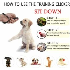 2 Confezioni Clicker Per Addestramento Cani, Fischietto Clicker Per Cani, Fischietto Clicker Per Cani, Per Addestramento Professionale Di Animali Domestici, Per Cani, Gatti, Uccelli, Cavalli (Nero) -Cibi per cani in Italia 88578213 4