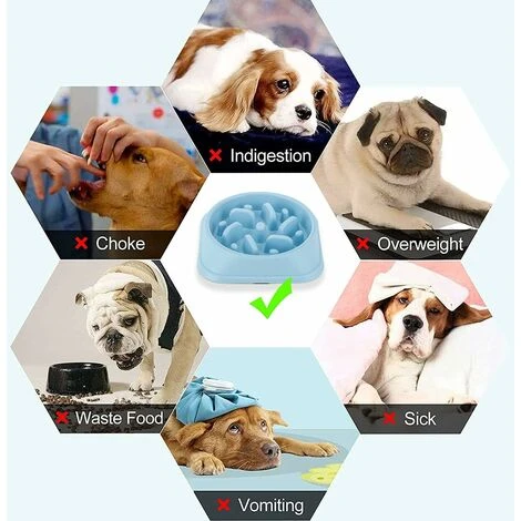 Ciotola Anti-Glutton Per Cane Gatto, Ciotola Per Mangimi Lenti, Ciotola Anti-Glutton Per Cani, Promuove Un'Alimentazione Sana E Una Digestione Lenta (20.2x4.5cm) 4 Ciotola Anti-Glutton Per Cane Gatto, Ciotola Per Mangimi Lenti, Ciotola Anti-Glutton Per Cani, Promuove Un'Alimentazione Sana E Una Digestione Lenta (20.2x4.5cm) - immagine 2