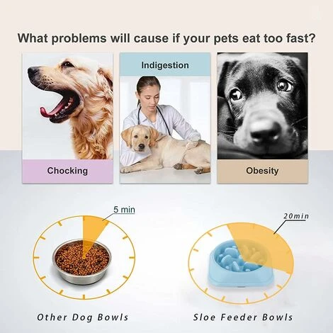 Ciotola Anti-Glutton Per Cane Gatto, Ciotola Per Mangimi Lenti, Ciotola Anti-Glutton Per Cani, Promuove Un'Alimentazione Sana E Una Digestione Lenta (20.2x4.5cm) 6 Ciotola Anti-Glutton Per Cane Gatto, Ciotola Per Mangimi Lenti, Ciotola Anti-Glutton Per Cani, Promuove Un'Alimentazione Sana E Una Digestione Lenta (20.2x4.5cm) - immagine 4