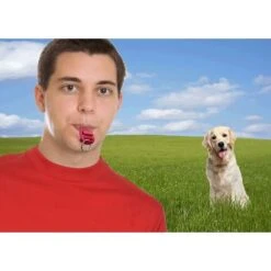 "Clicker 2 In 1 E Fischietto Per Cani" Clicker Per Cani/gatti/animali Domestici Clickertraining Aiuto All'addestramento Addestramento Del Cane Addestramento Del Cane Nel Colore Rosso -Cibi per cani in Italia 88579004 5