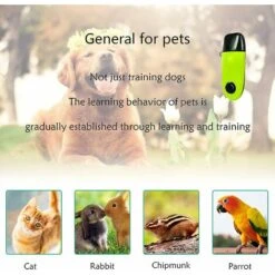 Clicker Per Addestramento Per Cani Clicker Per Addestramento Per Gatti Clicker Per Cani Pulsante Grande 2 In 1 Strumento A Cricchetto Per Addestramento E Istruzione Per Cuccioli Conigli Cavallo 11 Clicker Per Addestramento Per Cani Clicker Per Addestramento Per Gatti Clicker Per Cani Pulsante Grande 2 In 1 Strumento A Cricchetto Per Addestramento E Istruzione Per Cuccioli Conigli Cavallo -Cibi per cani in Italia 88579010 5