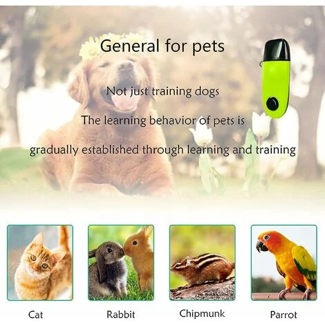 Clicker Per Addestramento Per Cani Clicker Per Addestramento Per Gatti Clicker Per Cani Pulsante Grande 2 In 1 Strumento A Cricchetto Per Addestramento E Istruzione Per Cuccioli Conigli Cavallo 7 Clicker Per Addestramento Per Cani Clicker Per Addestramento Per Gatti Clicker Per Cani Pulsante Grande 2 In 1 Strumento A Cricchetto Per Addestramento E Istruzione Per Cuccioli Conigli Cavallo - immagine 5