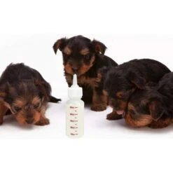 6 Pezzi 50 Ml Biberon Per Animali Domestici - Capezzolo A Punta Biberon Sicuro Per Cani E Gatti Per Piccoli Animali/gatti/cani/cuccioli/gattini -Cibi per cani in Italia 88579032 5