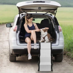 Rampa Auto Per Cani Leggera Con Struttura In Metallo Pieghevole E Fondo Antiscivolo Per Scale Per Animali Domestici Per Auto, SUV E Letti Alti Grigio Chiaro 11 Rampa Auto Per Cani Leggera Con Struttura In Metallo Pieghevole E Fondo Antiscivolo Per Scale Per Animali Domestici Per Auto, SUV E Letti Alti Grigio Chiaro -Cibi per cani in Italia 88717548 5