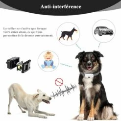 LITZEECollare Antiabbaio Per Cani, Collare Automatico Con 7 Livelli Di Sensibilità, 0-8 Livelli Di Vibrazione, Shock Elettrico E Modalità Suono, Ip67 Resistente All'acqua E Ricaricabile -Cibi per cani in Italia 88937116 4