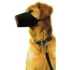 Museruola Regolabile In Nylon NOBLEZA Lavabile Per Sicurezza MUZZLE DOG Taglia: C23xL16cm -Cibi per cani in Italia 8934631 1