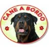 Adesivo Vetrofania Cane A Bordo Rottweiler -Cibi per cani in Italia 89602188 1