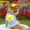 Camicia Per Cani Camicie A Quadri Per Animali Domestici Vestiti Estivi Per Animali Domestici Per Cani Cuccioli Zaino Per Cartoni Animati Anatra Con Cappello Giallo -Cibi per cani in Italia 89821098 1