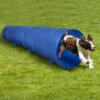 Tunnel Gioco Addestramento Cani Gatti Animali Cinofilo 3 Metri Giochi Di Agilità -Cibi per cani in Italia 90050160 1